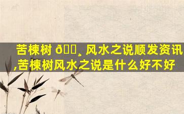 苦楝树 🌸 风水之说顺发资讯,苦楝树风水之说是什么好不好